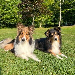 Meet your Posher, Erika